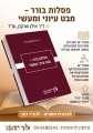 פסלות בורר - מבט עיוני ומעשי